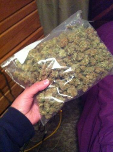 🔥INDICA, 🔥SATIVA 🔥AND HYBRIDS 🔥STRAINS: 🔥 Image eClassifieds4u