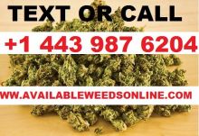 BUY MARIJUANA FOR HEALTH AT WWW.AVAILABLEWEEDSONLINE.COM Image eClassifieds4U