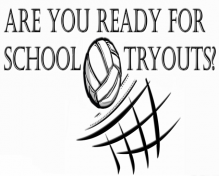 The Volleyball Elite Academy