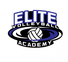 The Volleyball Elite Academy Image eClassifieds4u 2