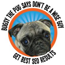 Canada's Top SEO Company in 2017 - Edmonton Search Engine Optimization Services