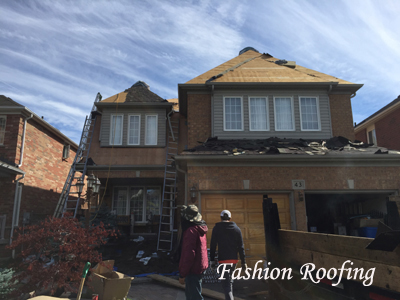 Best Service.High Quality.No 1 Choose(Roof.Flat Roofing) Image eClassifieds4u