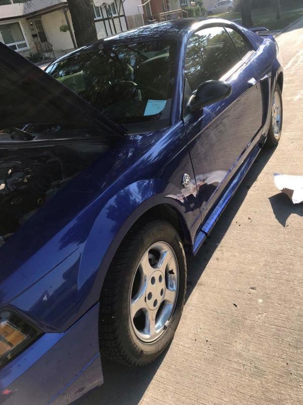 2004 blue 40th anniversary Ford Mustang Image eClassifieds4u