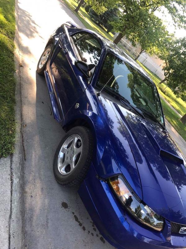 2004 blue 40th anniversary Ford Mustang Image eClassifieds4u