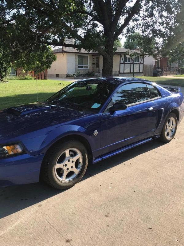 2004 blue 40th anniversary Ford Mustang Image eClassifieds4u