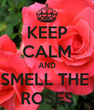 Smell the Roses CLEANING services