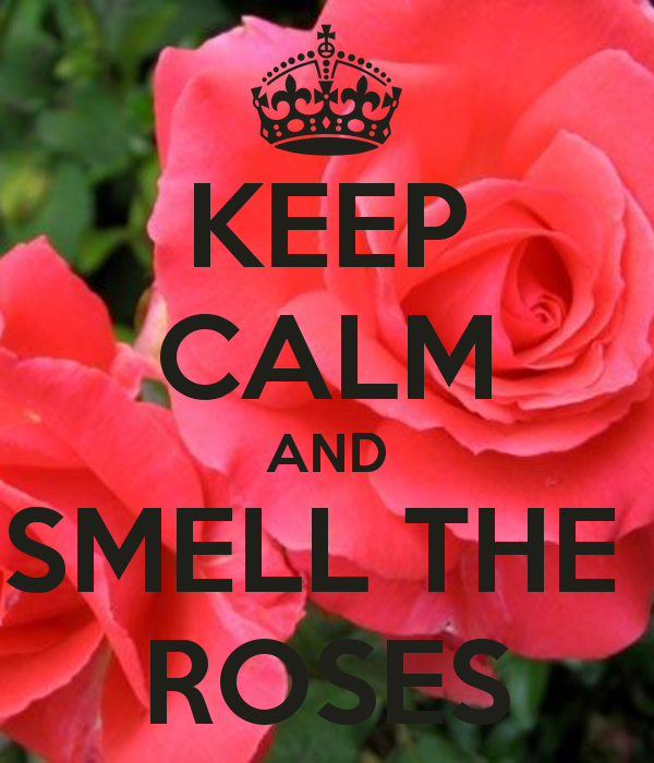 Smell the Roses CLEANING services Image eClassifieds4u