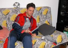 HAND-REARED EXTREMELY TAME BABY AFRICAN GREY PARROT $ 700 Image eClassifieds4u 2