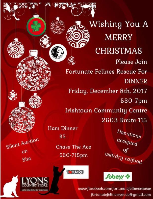 Fortunate Felines Rescue Christmas Ham Dinner Image eClassifieds4u