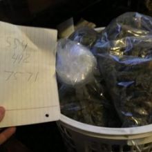 top quality medical marijuana at low prices 5594927571