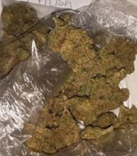 Buy Medical Marijuana Online | Buy Weed Online | Buy Ganja Hash Onlinehttp://www.gonaturalpharmacy.c Image eClassifieds4U