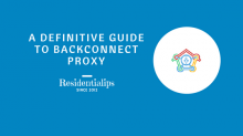 A Definitive Guide to Backconnect Proxy
