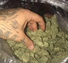 best grade marijuana