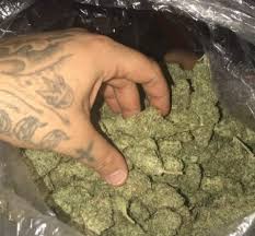 best grade marijuana Image eClassifieds4u