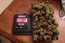 High grade marijuana buds and hash oil Text or call at 317 721 3617