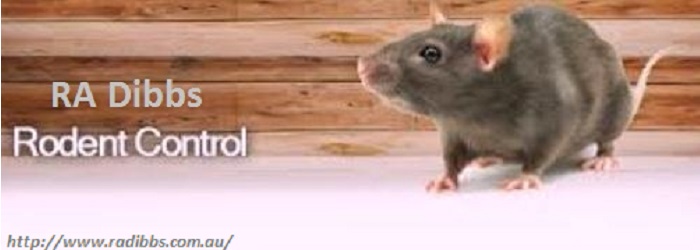 Durable strategies to destroy nuisances & rodents in Queensland Image eClassifieds4u