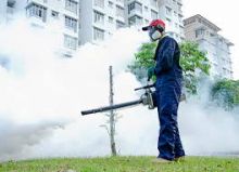 Full Scope of Fumigation Administrations for Universal Needs. Image eClassifieds4u 2