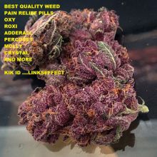 ORDER YOUR TOP QUALITY MARIJUANA STRAINS AND WITH PAIN KILLERS 424 666 1876 Image eClassifieds4U