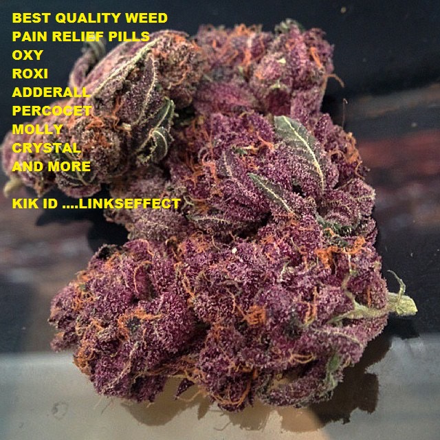 ORDER YOUR TOP QUALITY MARIJUANA STRAINS AND WITH PAIN KILLERS 424 666 1876 Image eClassifieds4u