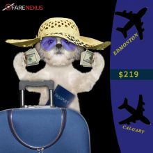 Book Return Flight Ticket Edmonton - Calgary $219 Image eClassifieds4U