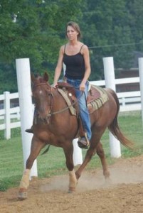 Quarter Gelding horse for sale Image eClassifieds4u