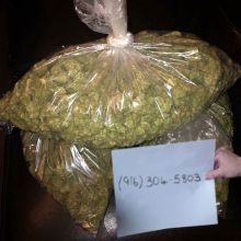 OG kush, Gorilla glue and Sour Diesel available. 9163045803 Image eClassifieds4U