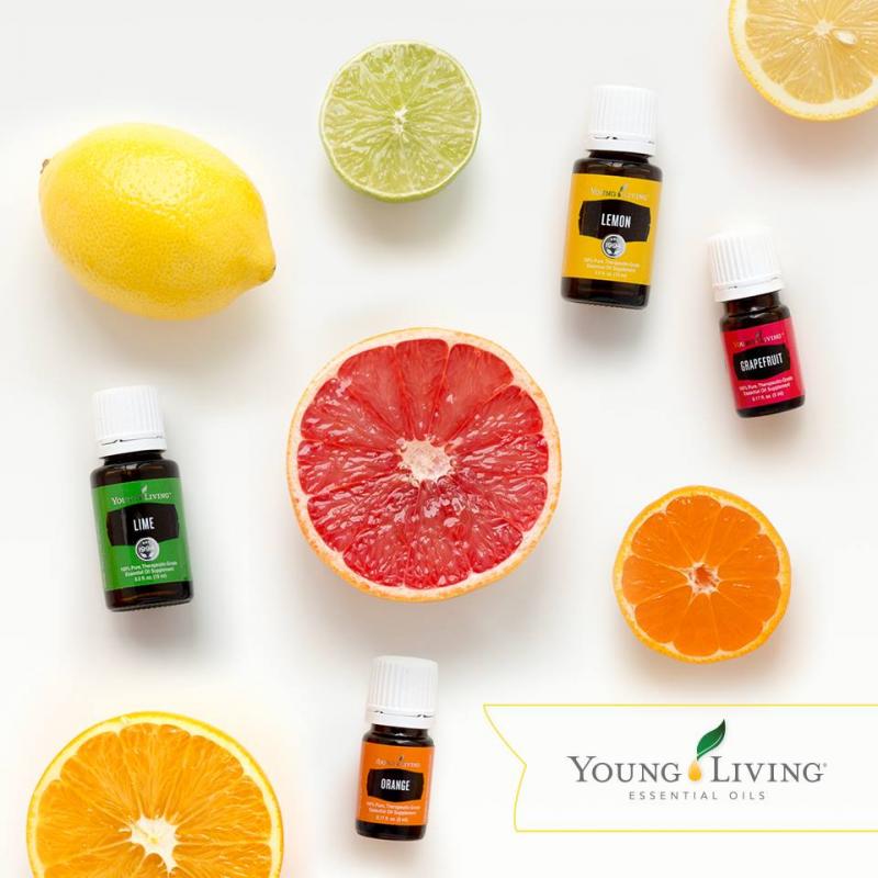 Free essential oil gift and referral bonuses Young Living Image eClassifieds4u
