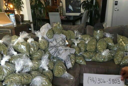 OG kush, Gorilla glue and Sour Diesel available. 9163045803. Image eClassifieds4u