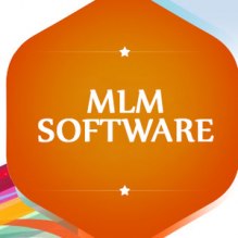 MLM software company, MLM binary website, custom software services in all over india