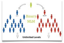 MLM software company, MLM binary website, custom software services in all over india Image eClassifieds4u 3