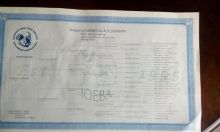 Old English Bulldog Image eClassifieds4u 2