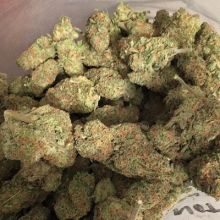 Best legit online pharmacy for stunners and patients Image eClassifieds4u 4