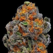 Buy 1 Oz (30g) Grand Daddy Purple Original Indica Weed Online - POWERALL EMPORIUM