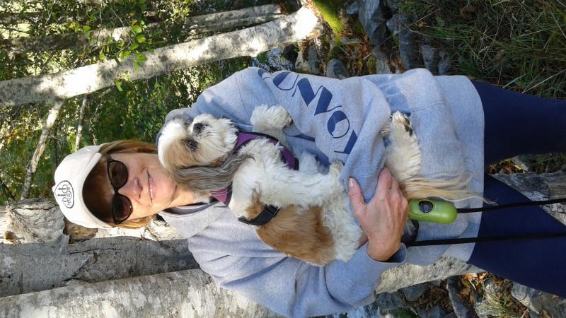 I am seeking winter house-sit Image eClassifieds4u