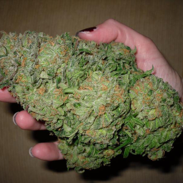 Buy good quality Cocaine or any other drugs online (drmichaelpeters1@gmail.com) Image eClassifieds4u