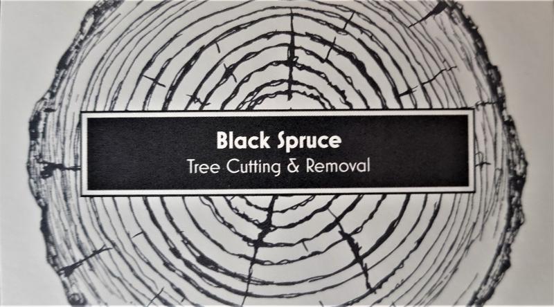 Black Spruce Tree Cutting & Removal Image eClassifieds4u
