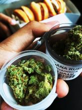 Top Shelf medical marijuana strains at discount prices