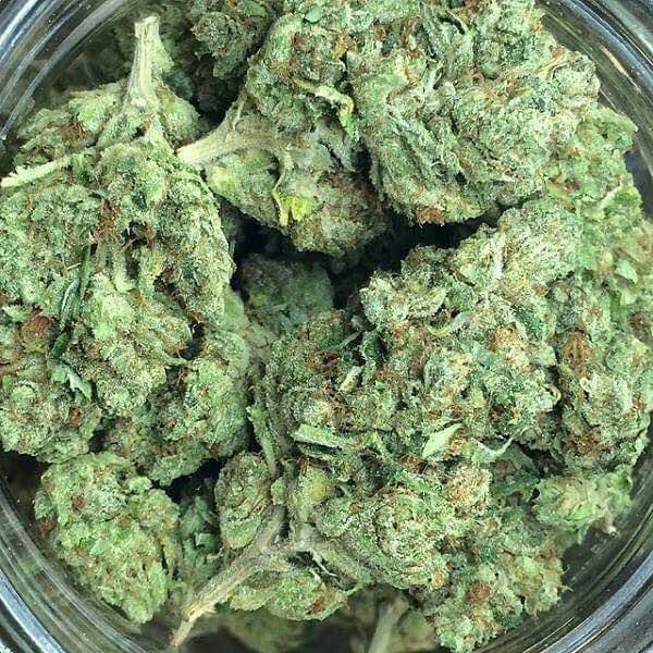 medical marijuana for sale Image eClassifieds4u