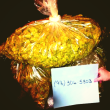 TOP QUALITY BUDS AVAILABLE 916) 304-5803