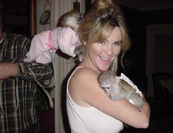 Exceptional Marmoset and Capuchin monkeys Available Email at (amandavilla980@gmail.com) Image eClassifieds4u