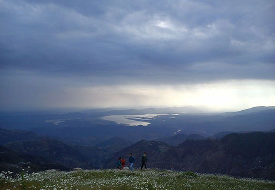 Holiday Planner for Dalhousie Image eClassifieds4u