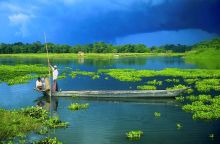 Assam Tour Package in West Bengal