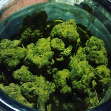 Medical Cannabis/Marijuana Strains and Oil Available