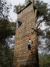 Rock Wall Holds