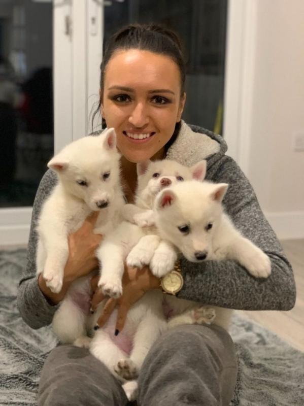 Friendly Siberian Husky Puppies Available For Good Homes.(430)201-0537 Image eClassifieds4u