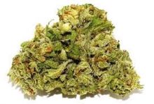 30 Grams Ghost Train Haze For Sale - POWERALL EMPORIUM