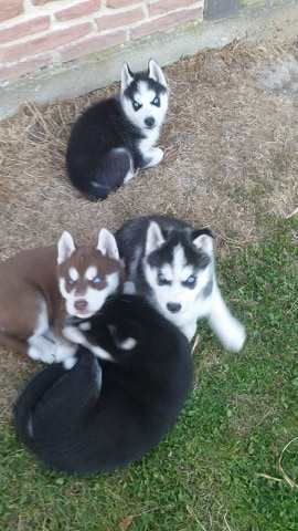 male and female Image eClassifieds4u