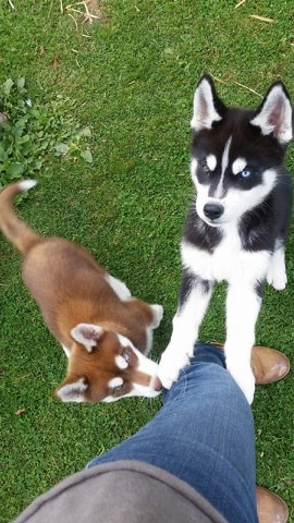 male and female Image eClassifieds4u