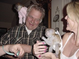 well trained Marmoset and Capuchin monkeys for re-homing. Image eClassifieds4u