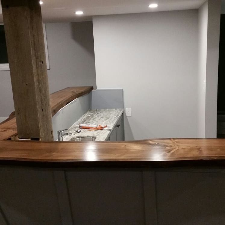 Dzik Fine Finishing@ Painting Image eClassifieds4u